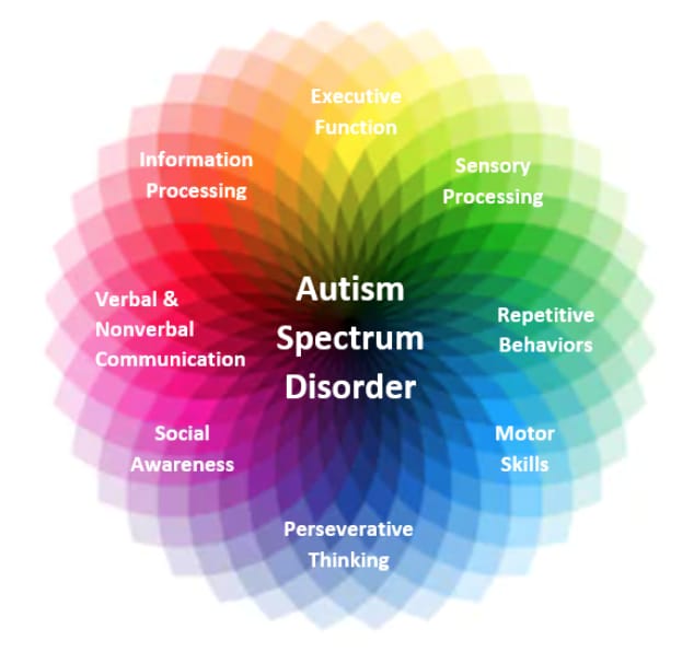 Understanding Autism Spectrum Disorder: Myths, Realities, and Supportive Strategies 3 Understanding Autism Spectrum Disorder: Myths, Realities, and Supportive Strategies