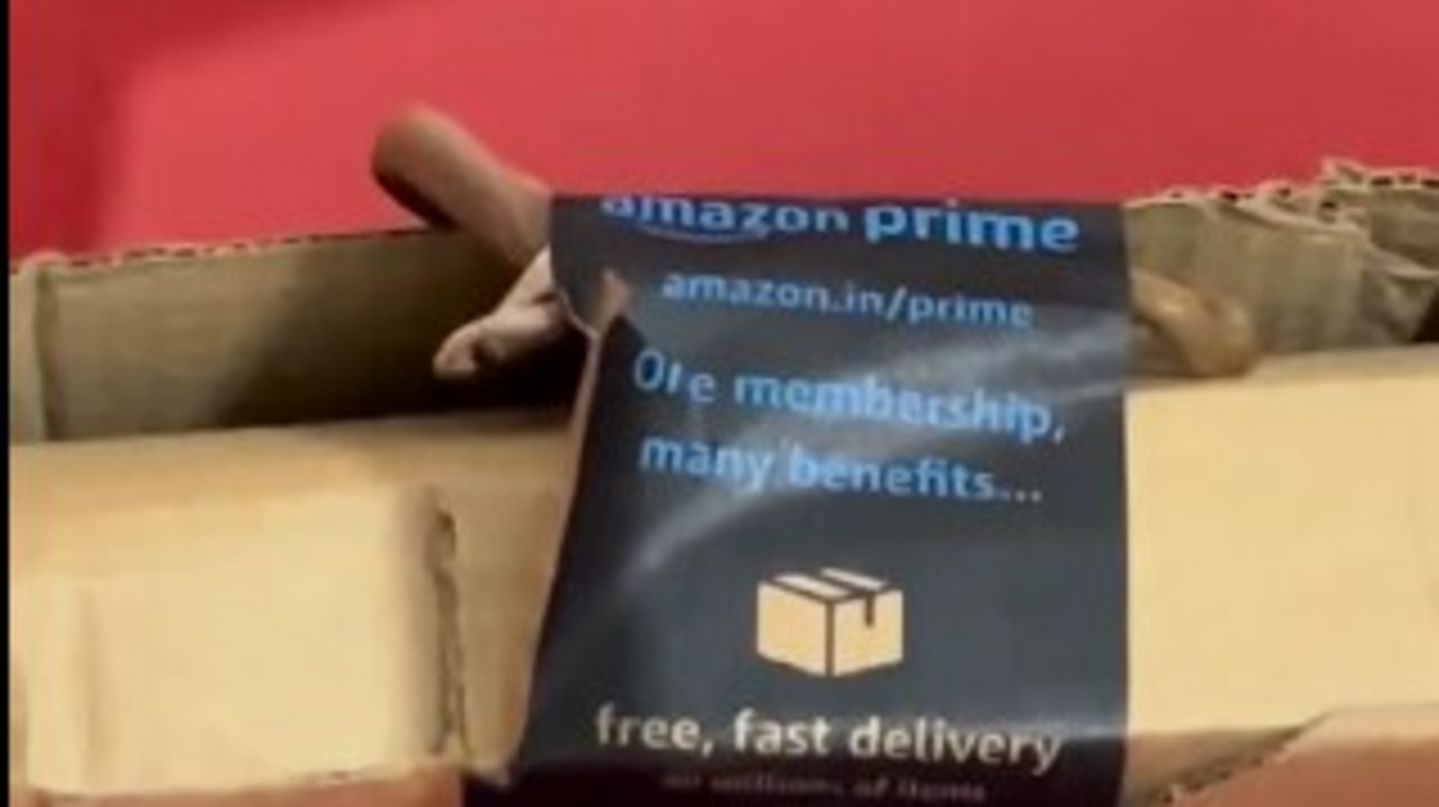 Viral video: Couple orders Xbox from Amazon, finds cobra in package; netizens say ’India is not for beginners’