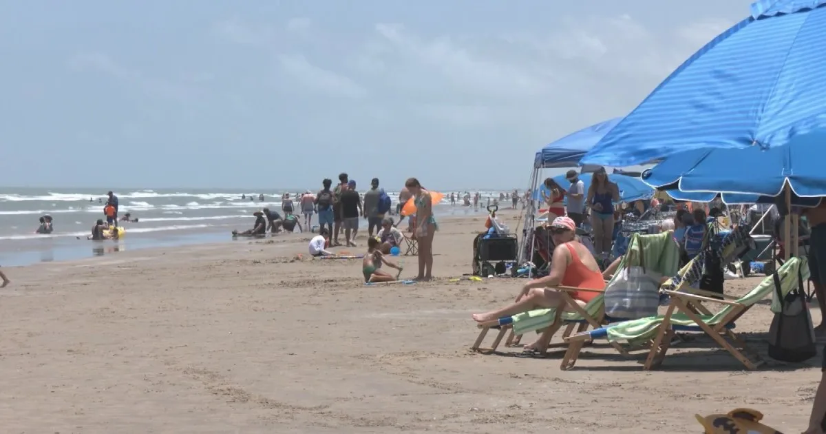 Four injured in Fourth of July shark attacks in Texas, Florida